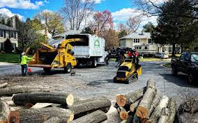Best Lawn Renovation and Restoration  in Bountiful, UT