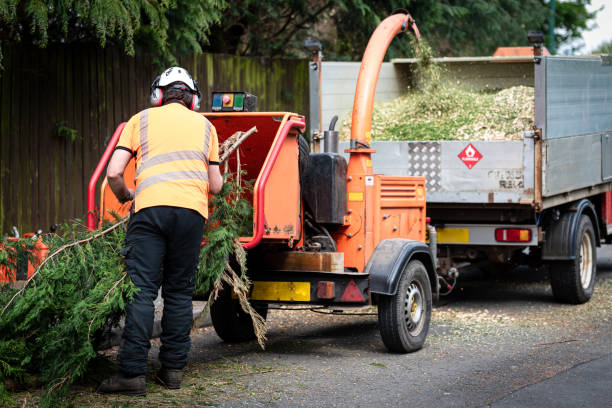  Bountiful, UT Tree Services Pros