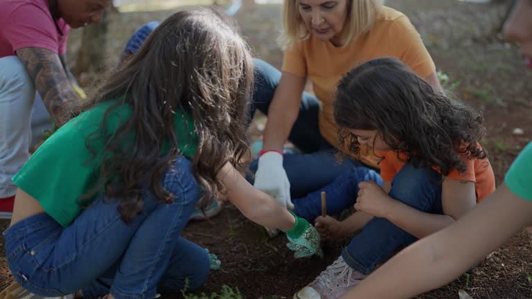 Best Tree and Shrub Care  in Bountiful, UT
